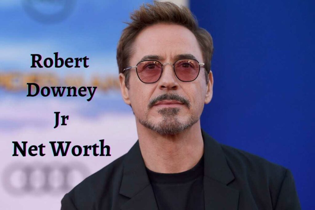 Robert Downey Jr net worth