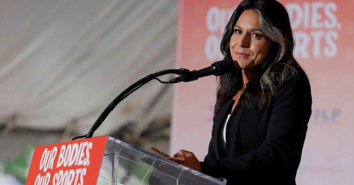 Tulsi Gabbard Net Worth 