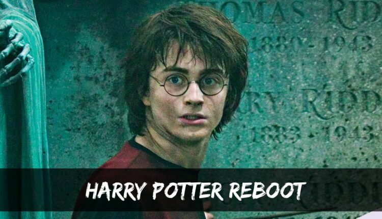 Harry Potter Reboot On The Cards For WBD But A Completely New Cast ...