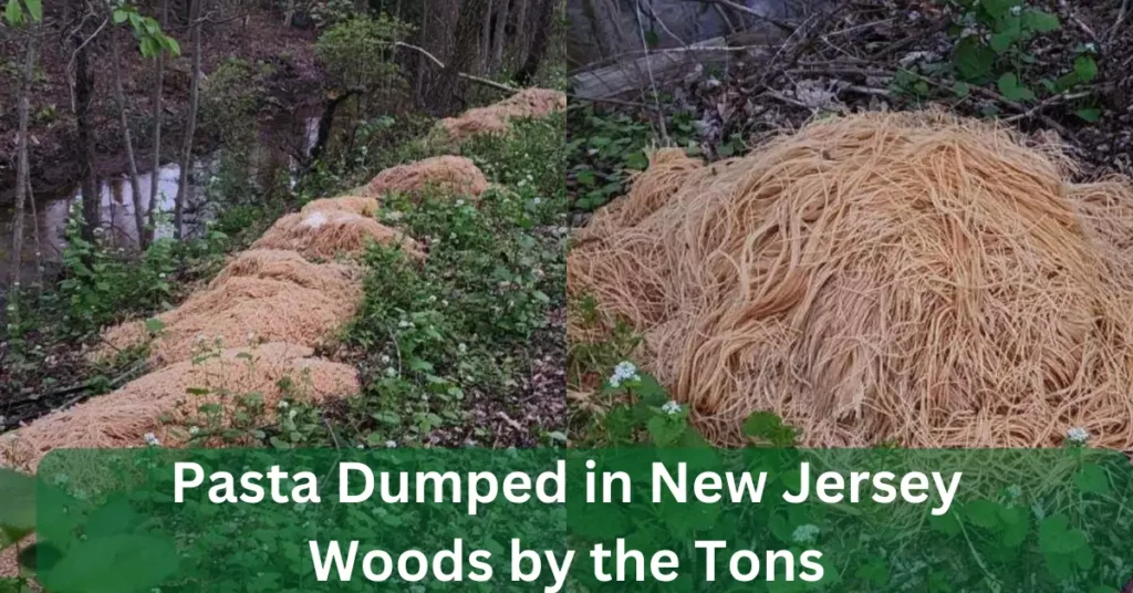Pasta Dumped in New Jersey Woods by the Tons