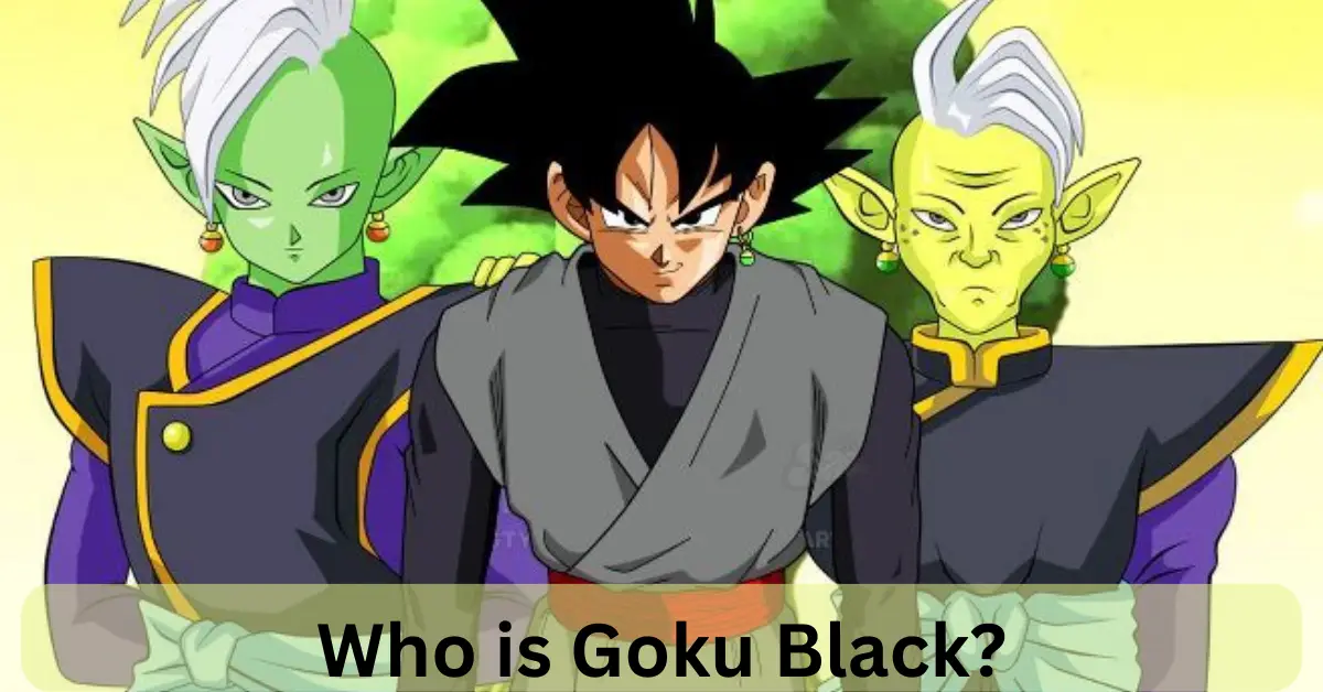 Who is Goku Black?