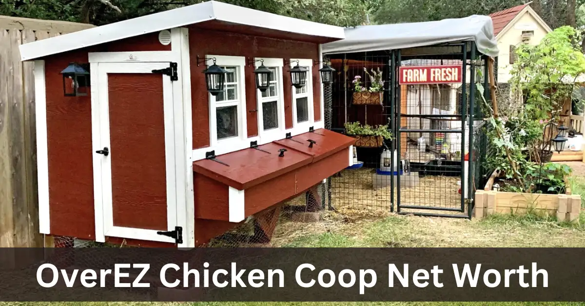 OverEZ Chicken Coop Net Worth Crafted For Success In Poultry Care