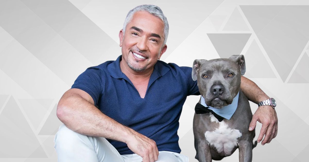 Cesar Millan's Career Highlights