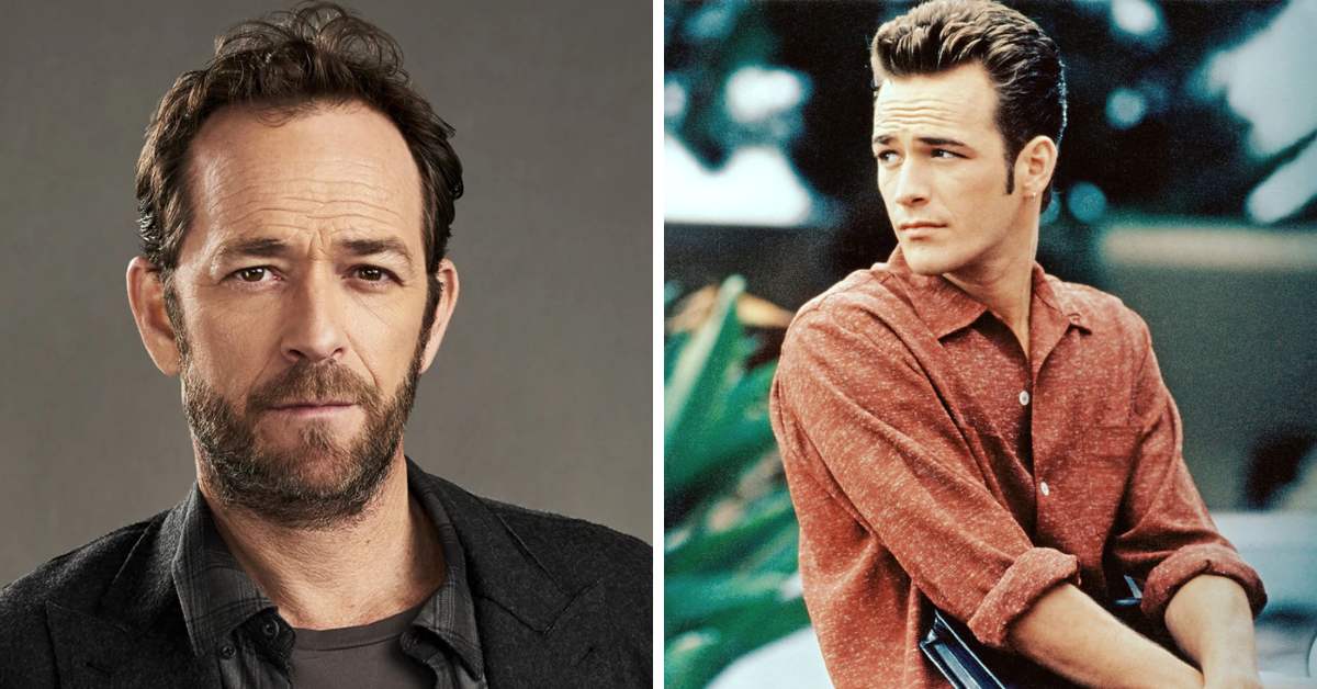 Luke Perry's Career