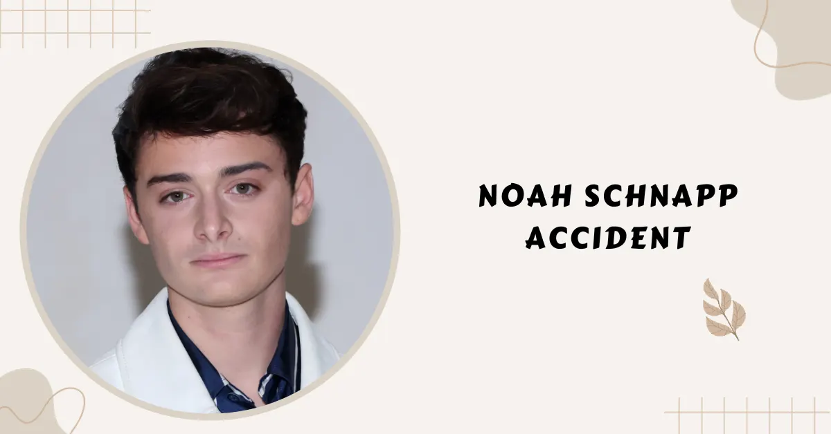 noah schnapp accident